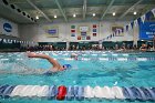 Swim vs Bentley  Wheaton College Swimming & Diving vs Bentley University. - Photo by Keith Nordstrom : Wheaton, Swimming & Diving